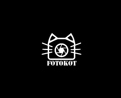 FotoKot logo